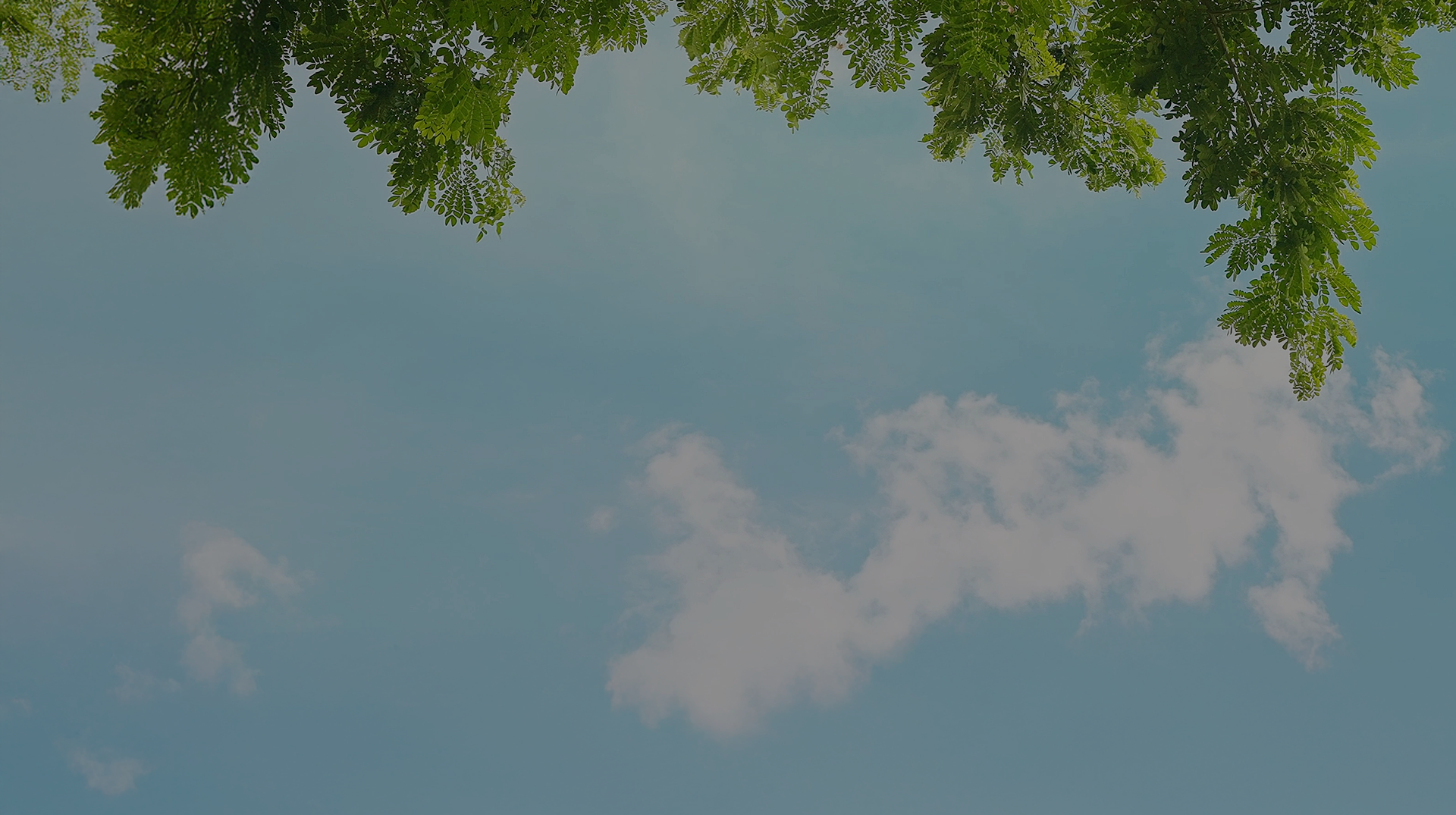 하늘과 자연 배경